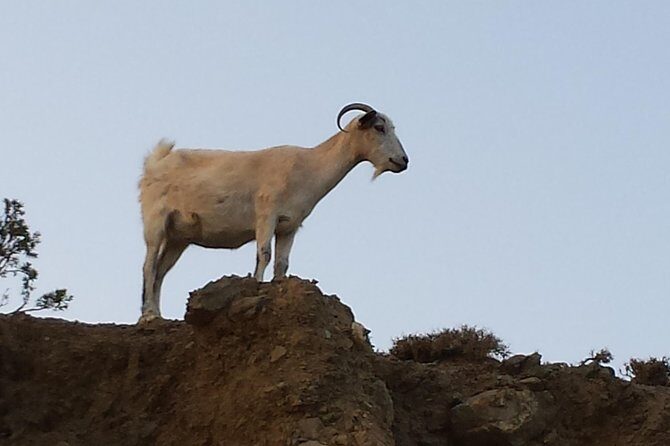 Roundtrip Minivan Transfer to Therma Natural Spa Beach - FAQ