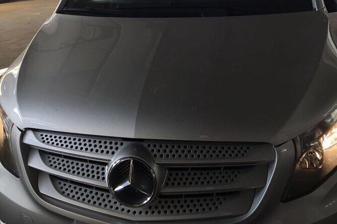 Roundtrip Transfer from Naples to Pompeii and Return - Diving Into the Itinerary