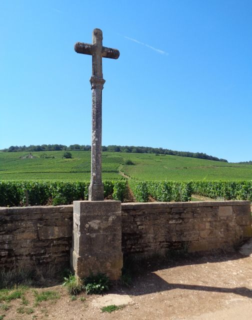 "Route des grands crus", private wine tasting in Burgundy !