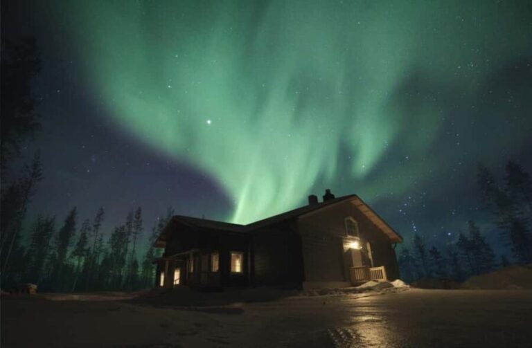 Rovaniemi: 2km Aurora Reindeer Safari Through the Forest - The Itinerary Breakdown