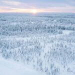 Rovaniemi: 2km Reindeer Sled Ride Through the Forest - Practicalities and Considerations