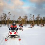 Rovaniemi: 3h Electric Snowmobile Safari at Reindeer Farm - The Snowmobile Ride