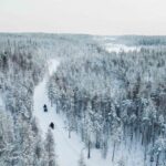 Rovaniemi: 6-Hour Snowmobile Safari in Lapland - What the Experience Feels Like