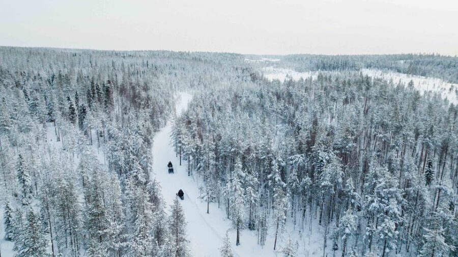 Rovaniemi: 6-Hour Snowmobile Safari in Lapland - What the Experience Feels Like