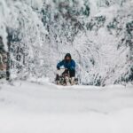 Rovaniemi: 7-Kilometer Self-Driven Apukka Husky Adventure - The Experience: What Makes It Special?