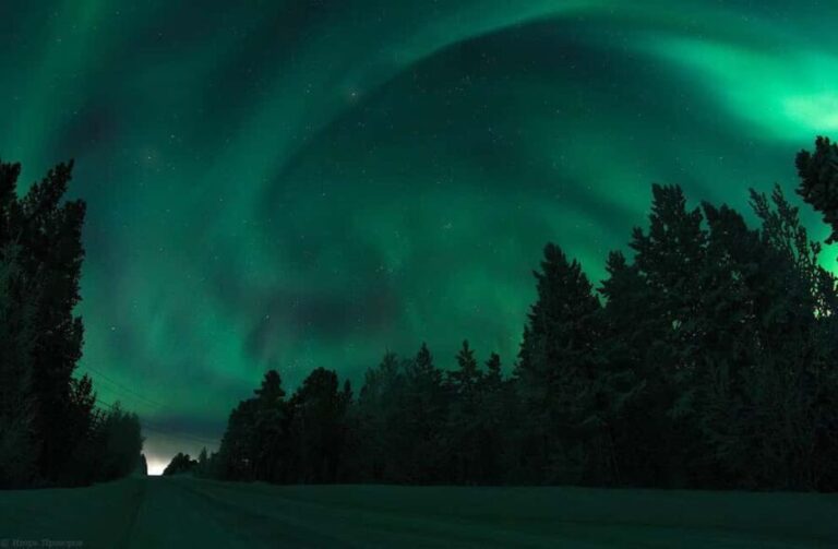 Rovaniemi: All-Inclusive Ranua Zoo Excursion & Aurora Dinner - Cost and Value