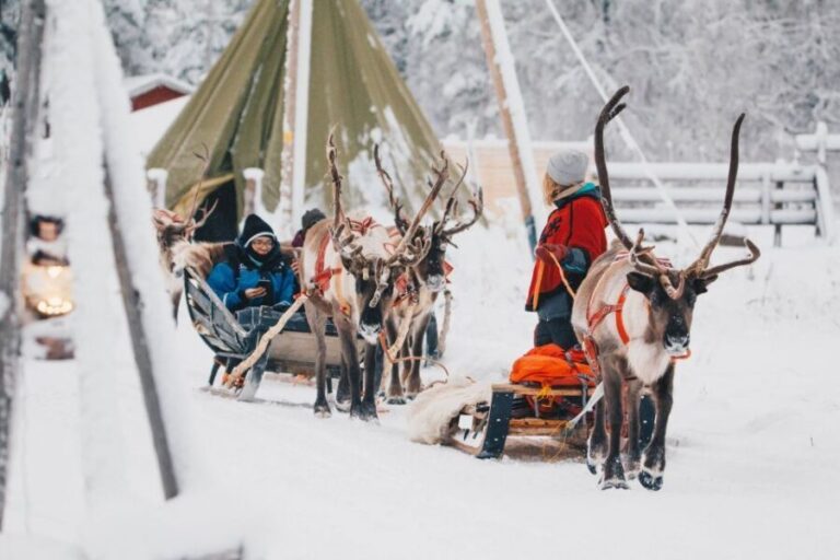 Rovaniemi: Apukka Reindeer Journey - Who Should Consider This Tour?