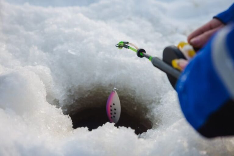 Rovaniemi: Arctic Circle Ice Fishing Experience - What the Tour Entails