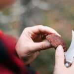 Rovaniemi: Arctic Wild Berry & Mushroom Foraging and Tasting - The Value of the Experience