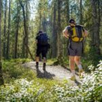 Rovaniemi: Arctic Wilderness Hike with Fire-Making - All day - What Makes the Guided Hike Special?