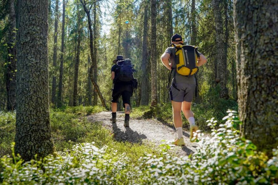 Rovaniemi: Arctic Wilderness Hike with Fire-Making - All day - What Makes the Guided Hike Special?