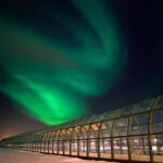 Rovaniemi: Arktikum Science Centre and Museum Entry Ticket - A Closer Look at the Experience