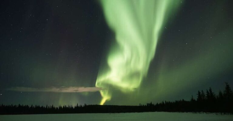 Rovaniemi: Aurora Borealis Hunting Photo Tour - The Realities of Aurora Viewing