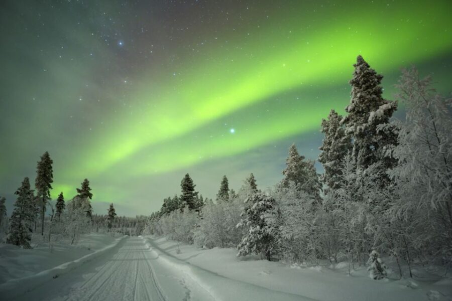 Rovaniemi: Aurora Borealis Snowmobile Safari with Campfire - The Campfire Experience and Food
