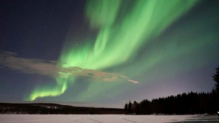 Rovaniemi: Aurora Hunting Photography Tour with Barbeque - Reviews and Real-Life Insights