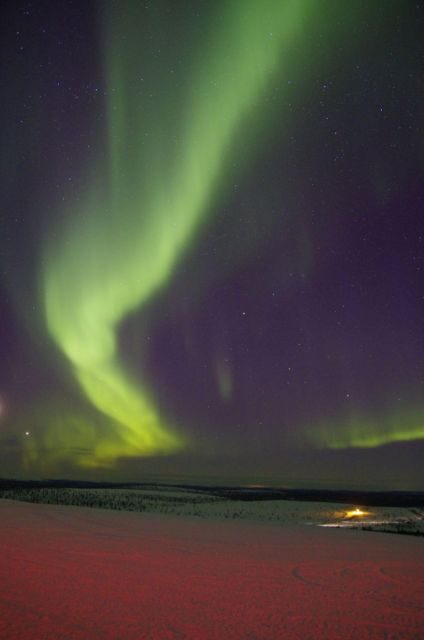 Rovaniemi: Aurora Hunting Photography Tour(98% Success Rate) - The Realities of Aurora Hunting