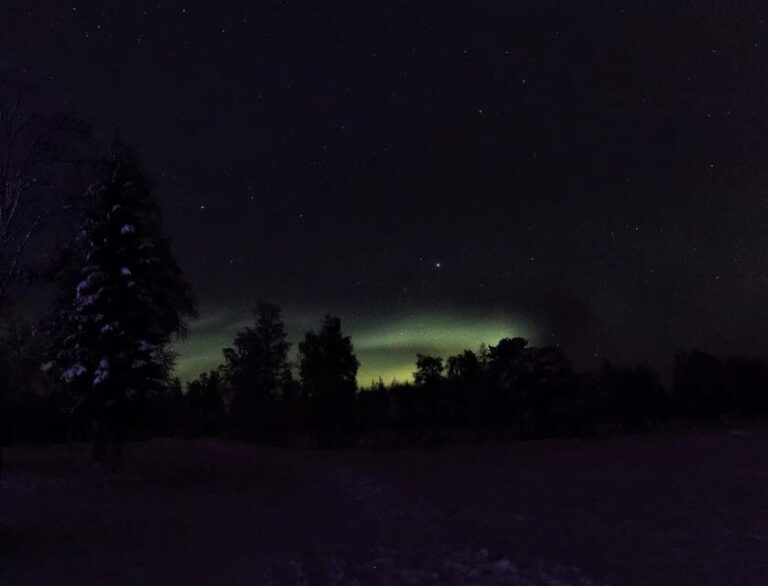 Rovaniemi: Aurora Hunting Tour in the Forest with Hot Drinks - The Practical Details
