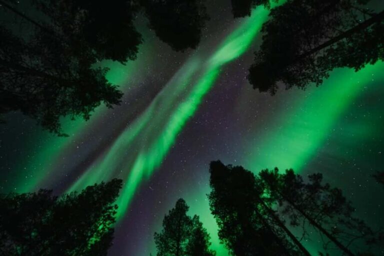 Rovaniemi: Aurora Photography Hunt - What Makes This Tour Unique