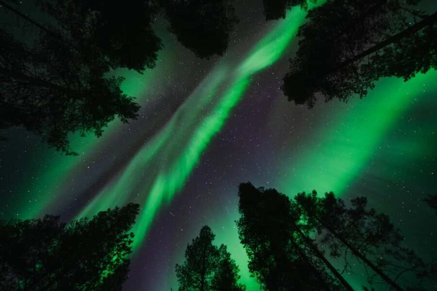 Rovaniemi: Aurora Photography Hunt - What Makes This Tour Unique