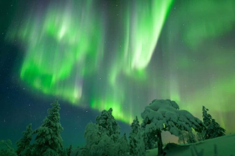 Rovaniemi: Auroras Northern Lights Trip - guaranteed lights - Itinerary Breakdown: What to Expect