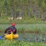 Rovaniemi: Authentic Reindeer Farm & Canoeing - Why It’s Valuable