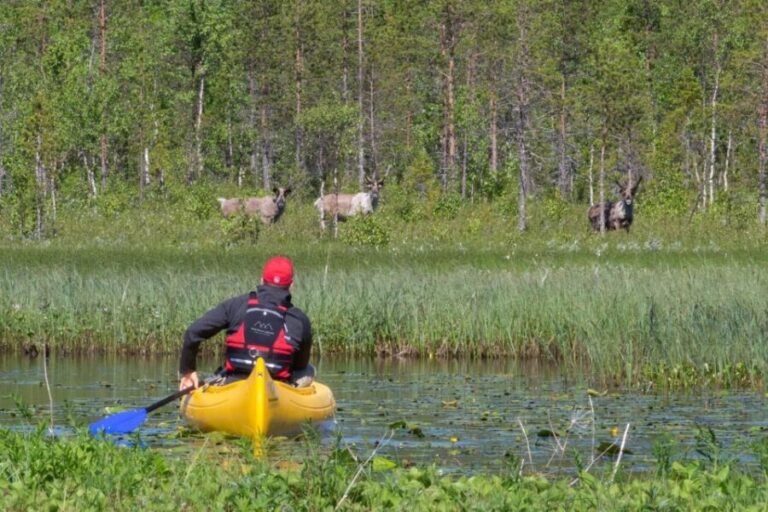 Rovaniemi: Authentic Reindeer Farm & Canoeing - Why It’s Valuable