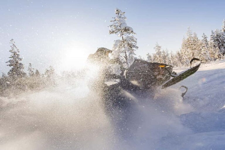 Rovaniemi: Backwoods Adventure Full Day Snowmobile Safari - The Experience of Driving Through Arctic Landscapes
