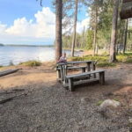 Rovaniemi: Berry Picking Tour with Traditional Laavu - Who Will Love This Tour?