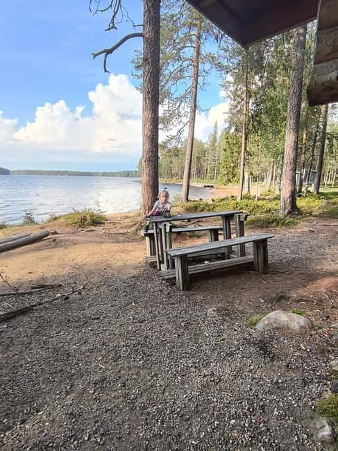 Rovaniemi: Berry Picking Tour with Traditional Laavu - Who Will Love This Tour?