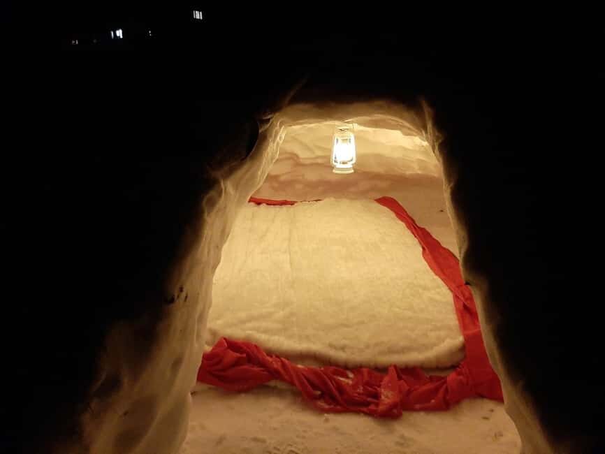 Rovaniemi: Building a Snow Igloo - Who Is This Tour Best For?