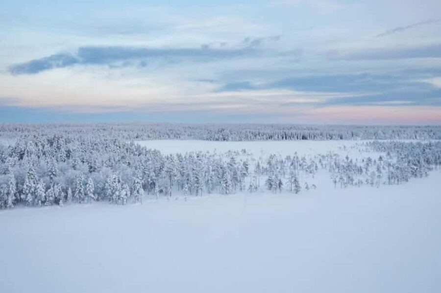 Rovaniemi: Cross-Country Skiing Adventure with Guide - The Itinerary in Detail