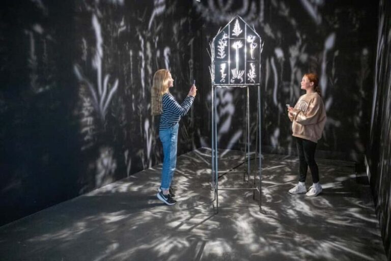 Rovaniemi: Culture Pass to Arktikum and Korundi - FAQs