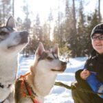 Rovaniemi: Daytime Husky Safari - What’s Included and Practical Details