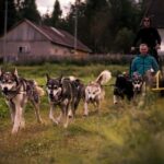 Rovaniemi: Drive Your Own Husky Team (Autumn) & BBQ - Practical Aspects and Value