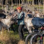 Rovaniemi: E-fatbike Trip to the Reindeer Farm - A Closer Look at the Itinerary