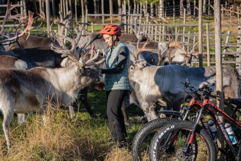 Rovaniemi: E-fatbike Trip to the Reindeer Farm - A Closer Look at the Itinerary