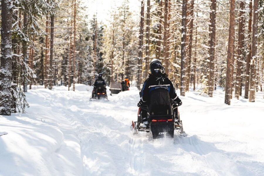 Rovaniemi: Easy Snowmobile Safari - The Experience: Drive or Ride