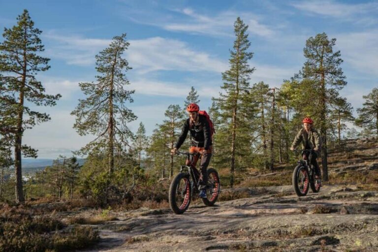 Rovaniemi: Electric Fatbike Tour - Price and Value