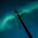 Rovaniemi: Elf's Northern Lights Sleigh Ride - The Value for Your Money