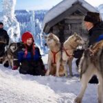 Rovaniemi: Family Friendly Husky Ride and Farm Visit - The Pros and Cons