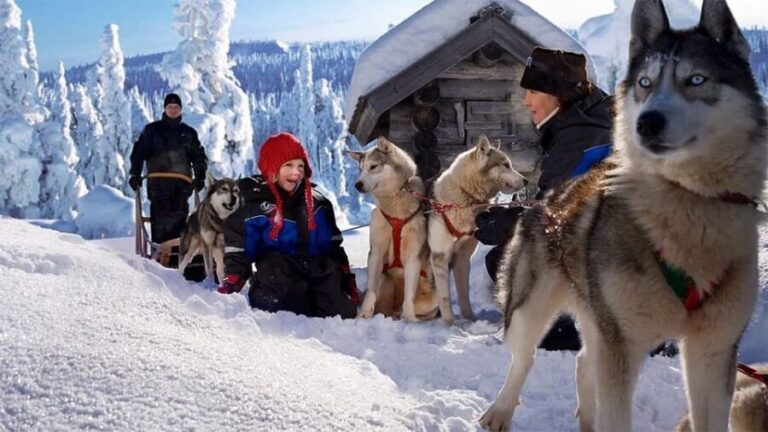 Rovaniemi: Family Friendly Husky Ride and Farm Visit - The Pros and Cons