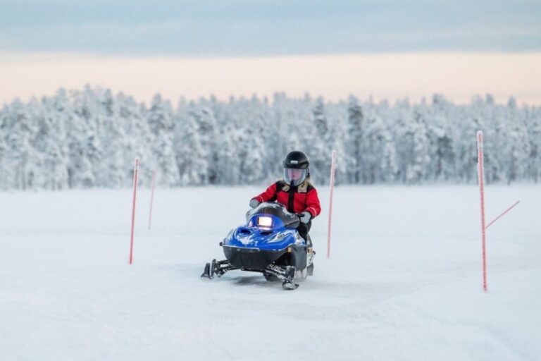 Rovaniemi: Family Fun Day with Huskies and Reindeer - Who Will Love This Tour?