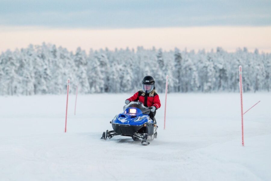 Rovaniemi: Family Fun Day with Huskies and Reindeer - Who Will Love This Tour?
