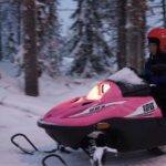 Rovaniemi: Family Snowmobile Safari - Who Should Consider This Tour?