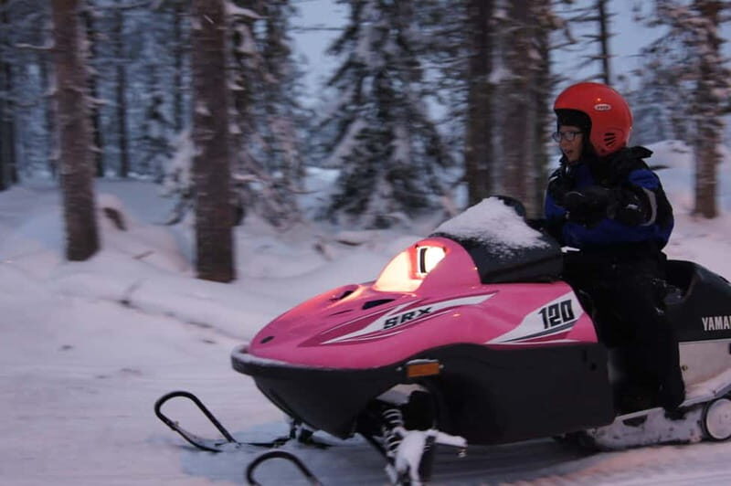 Rovaniemi: Family Snowmobile Safari - Who Should Consider This Tour?