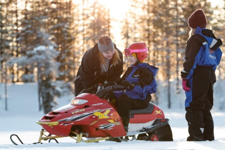 Rovaniemi: Family Snowmobile Trip with Guide and Picnic - Practical Considerations and Downsides