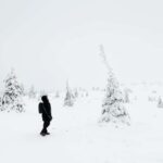 Rovaniemi: Fine Art Portraits & Film in Finnish Lapland - The Itinerary in Detail