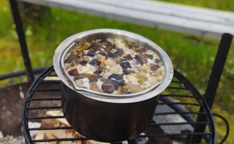 Rovaniemi forest foraging adventure: Pick, Prepare, Savor - Breaking Down the Details: Is It Worth Your Time?