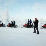 Rovaniemi: Full Day Snowmobile Safari into the Wilderness - The Practicalities and Considerations