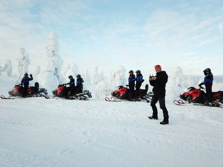 Rovaniemi: Full Day Snowmobile Safari into the Wilderness - The Practicalities and Considerations